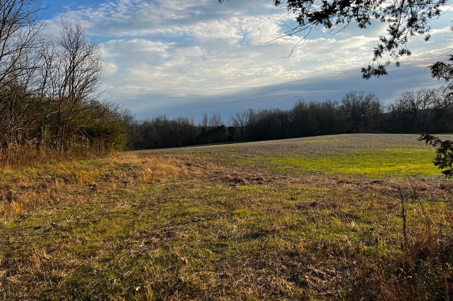 1View from House Site