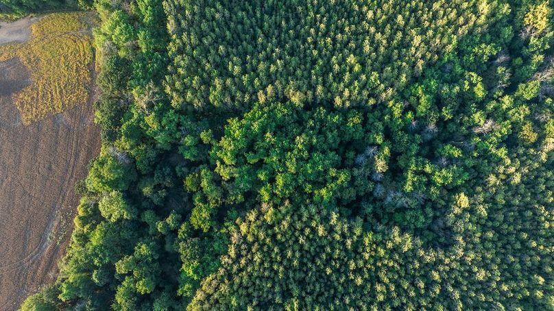 DJI_20250930050629_0009_D