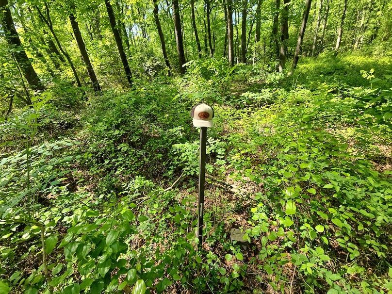 2.72ac_St Marys Rd_QAnnes_06