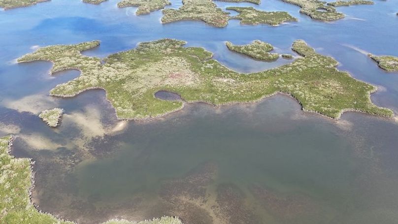 17.17ac, Citrus, Josiah Ronco12