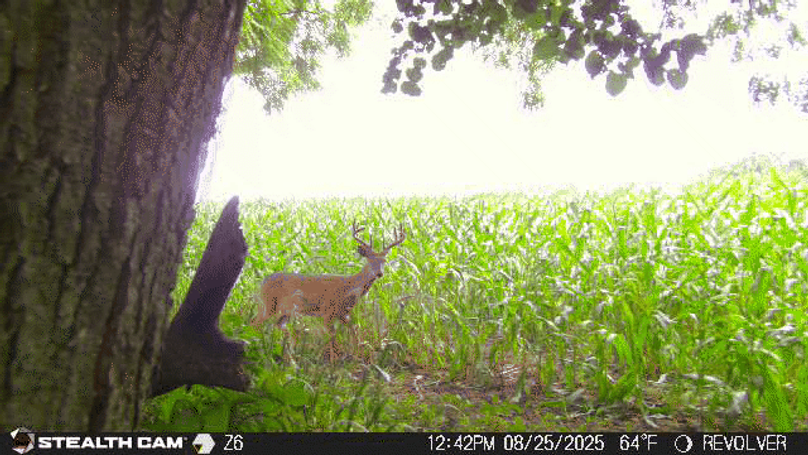 25082512425401000045