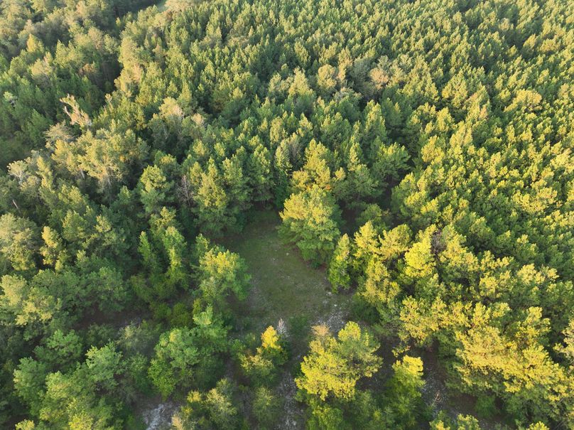 dji_fly_20230925_074754_748_1695642640084_photo