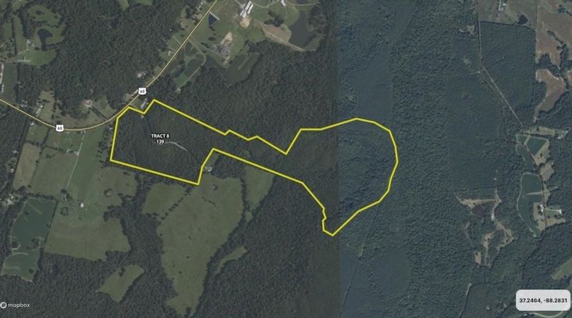 Livingston Tract 8 - 139 Ac