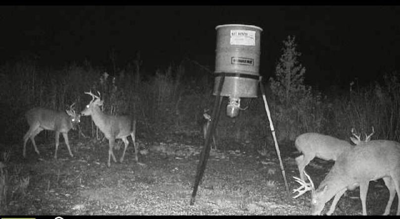 Screenshot_20221026-182531