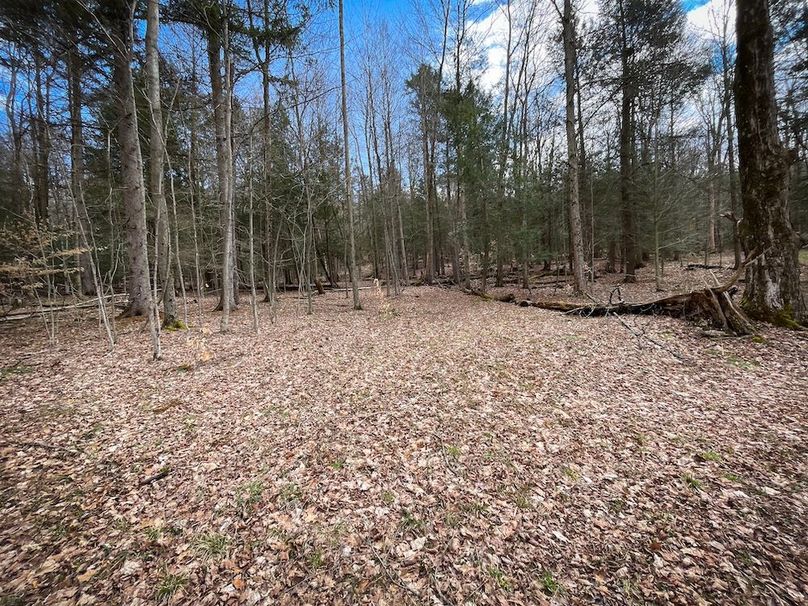 Tioga__NY_109.7_Burris_Photos_69