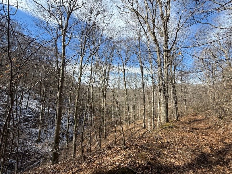 013 the trail_road system leading up from the valley