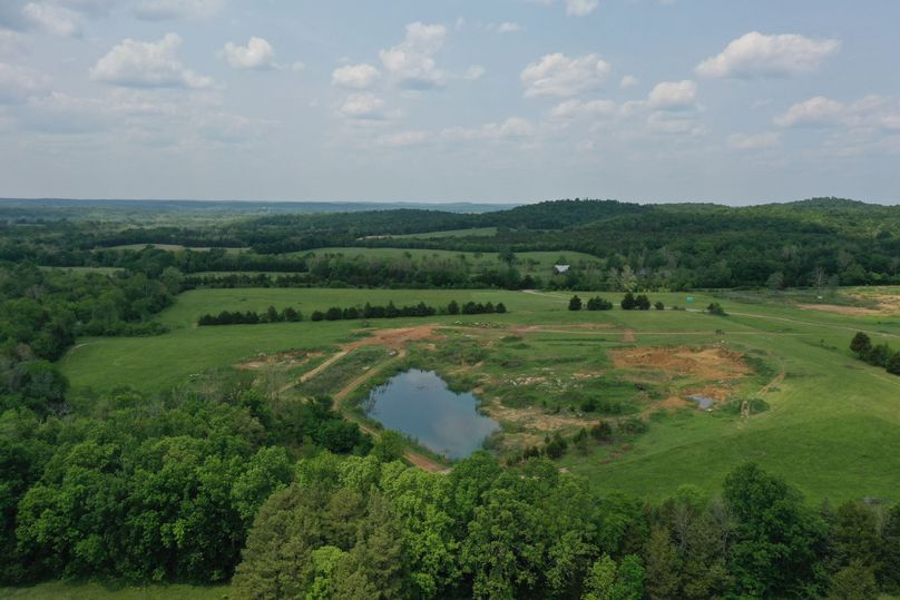 DJI_0310