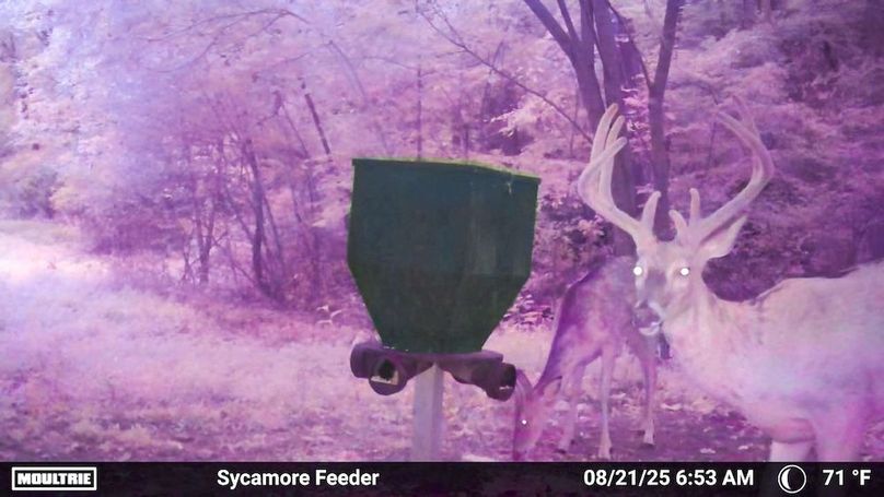 Fleming Petry 115-62