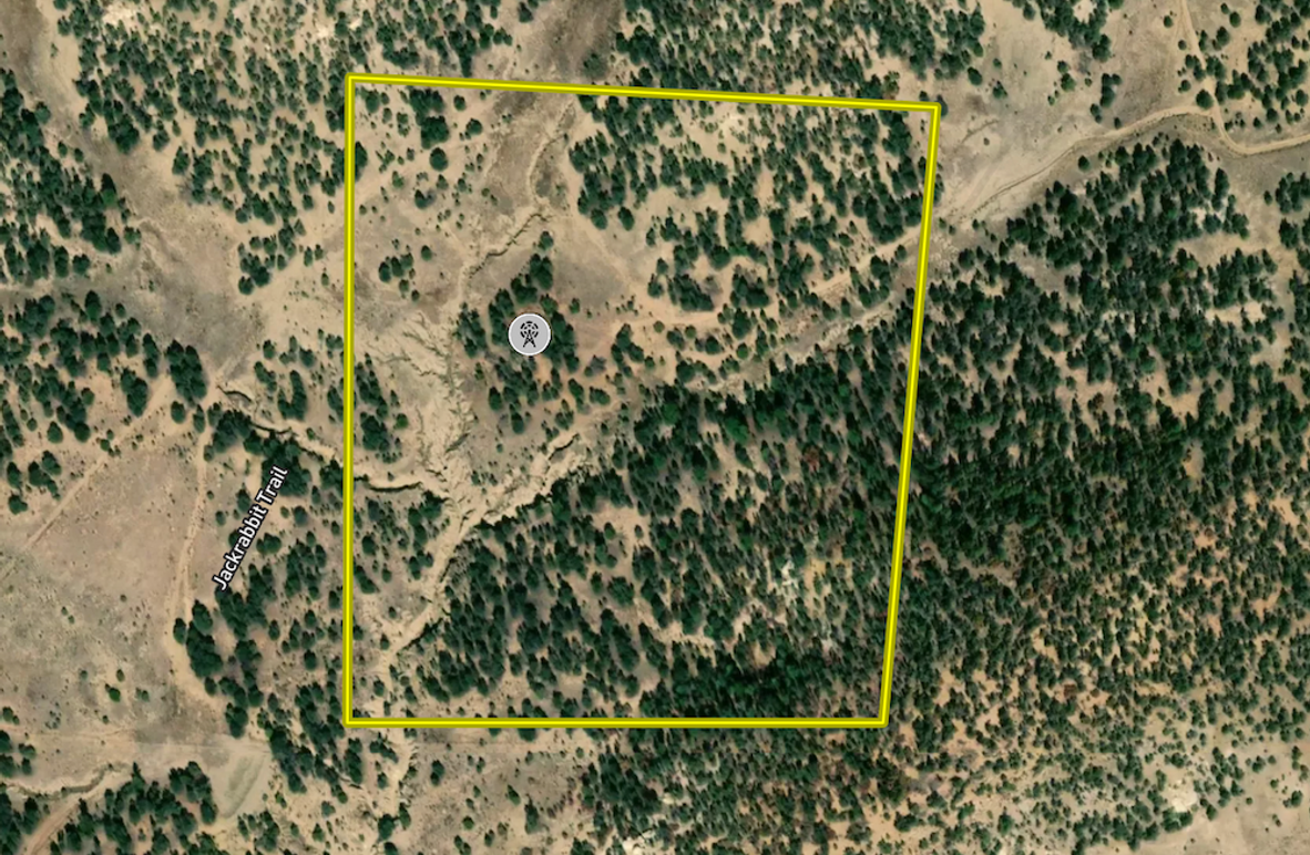 Screen Shot 2022-07-14 at 8.03.08 AM