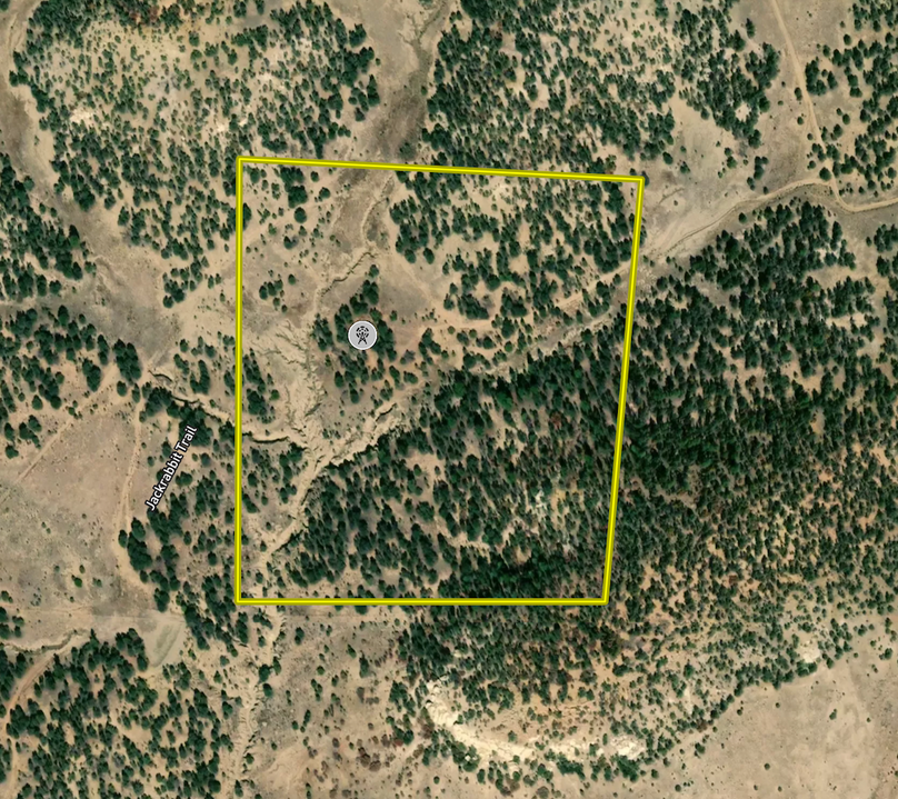 Screen Shot 2022-07-14 at 8.03.08 AM