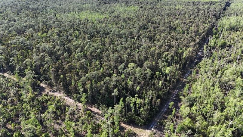 DJI_20260422092333_0496_D