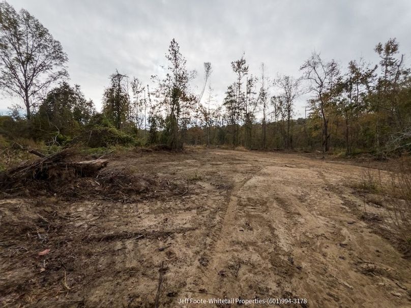 Claiborne Co-189-Geronimo-37