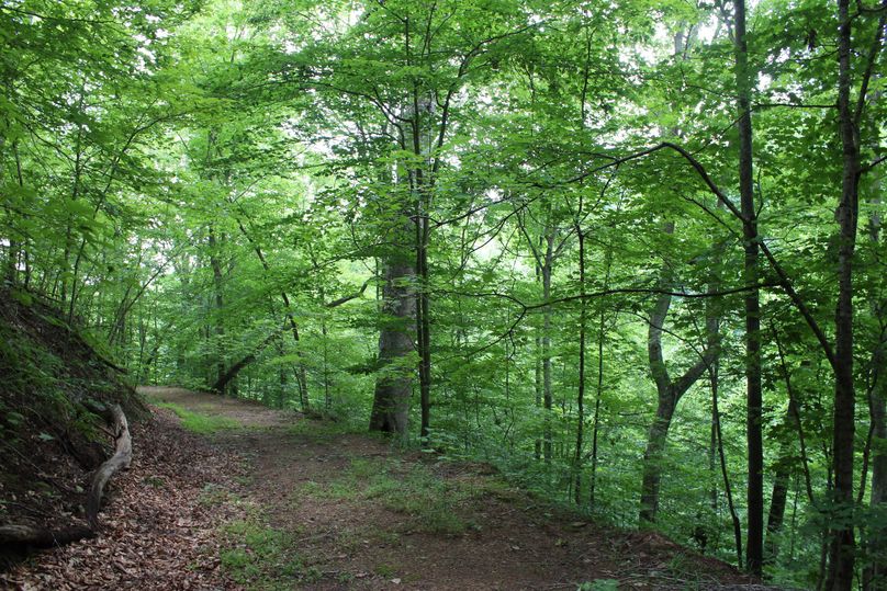 006 some of the well constructed roads in the upper elevations
