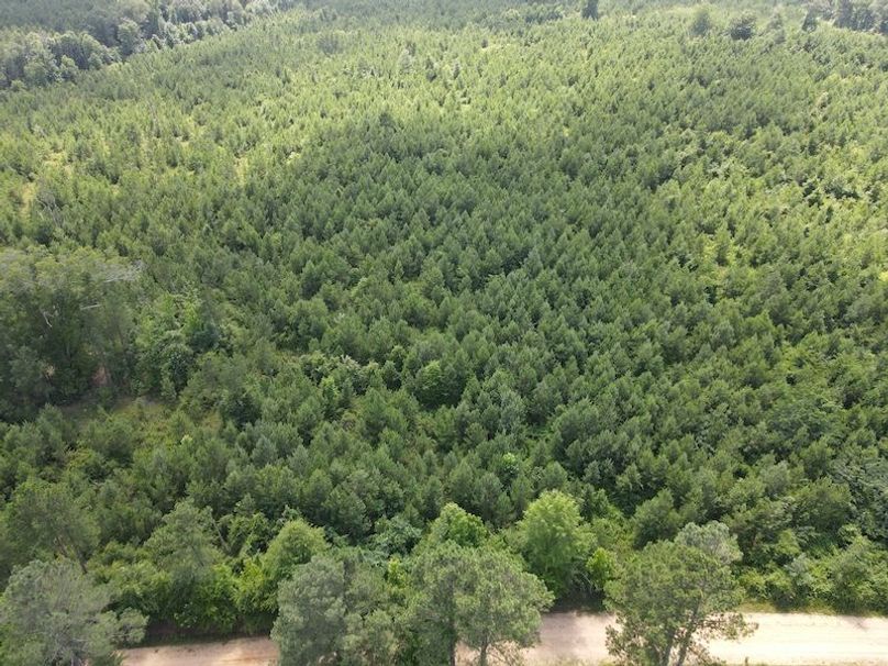 DJI_0380
