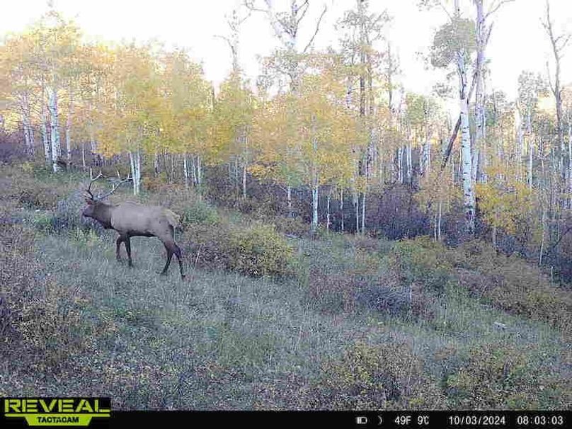 Copy of 864049052055672-20-4-10032024080302-HD-W1001298 (1)