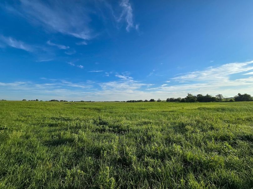 Copy of 20250625_071130