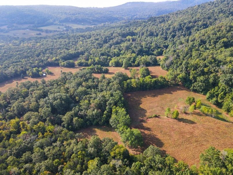 dji_fly_20250826_083436_678_1756215290287_photo