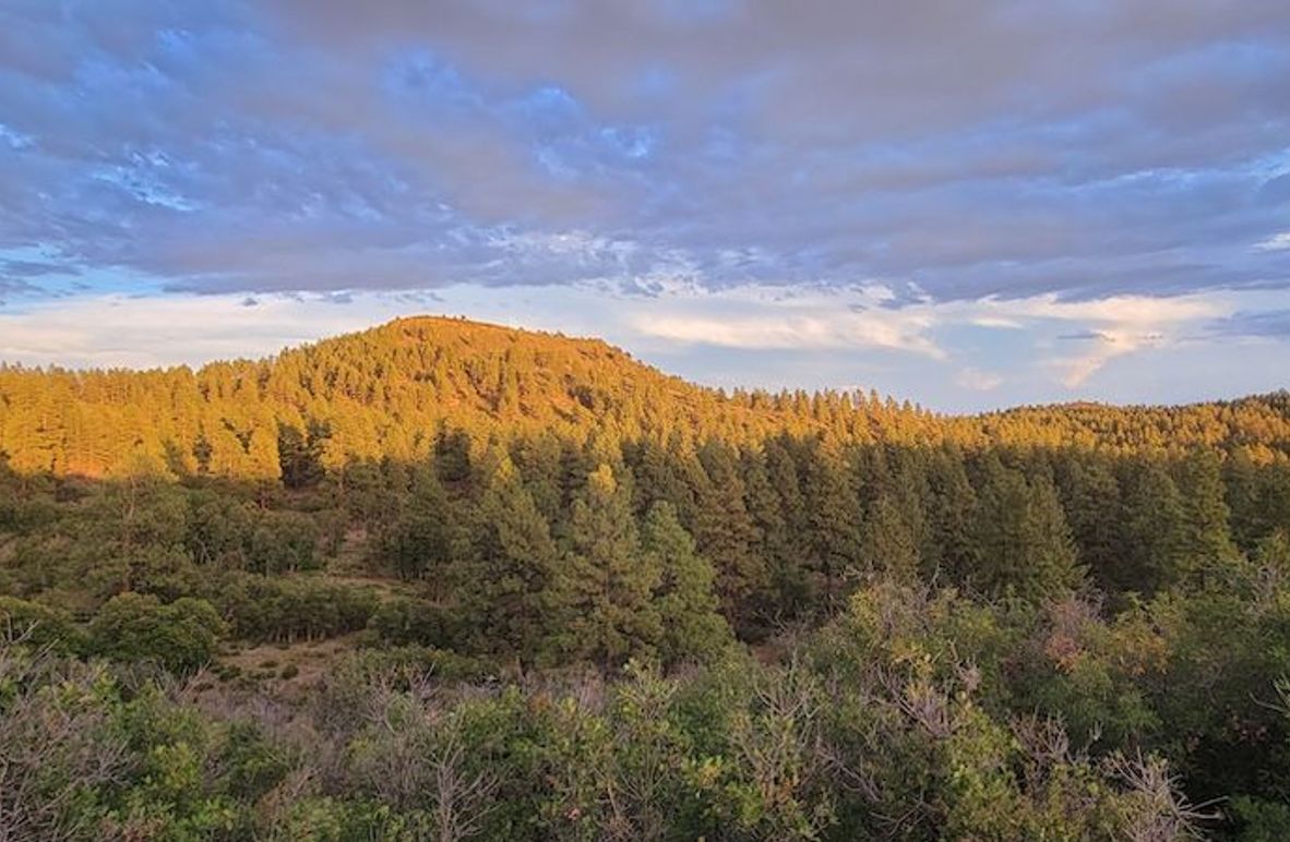 Copy of 20210826_193438