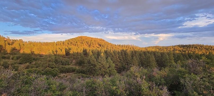 Copy of 20210826_193438