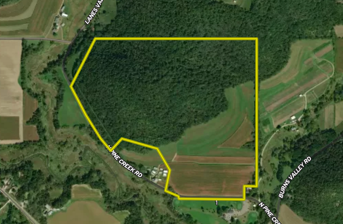 Screenshot 2025-07-29 at 12.57.17 PM