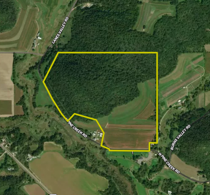 Screenshot 2025-07-29 at 12.57.17 PM