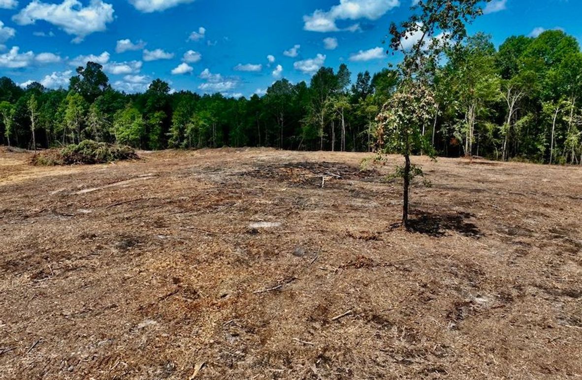 00A7D551-8871-4971-BBCC-18218CCE7B02_1_105_c