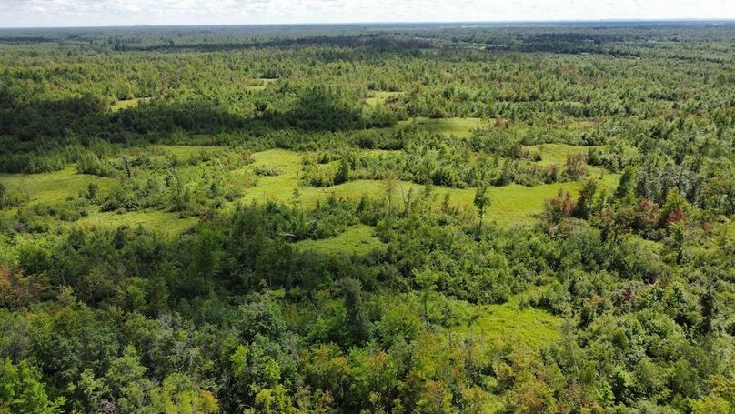 dji_fly_20240708_150230_260_1720541071741_photo_optimized