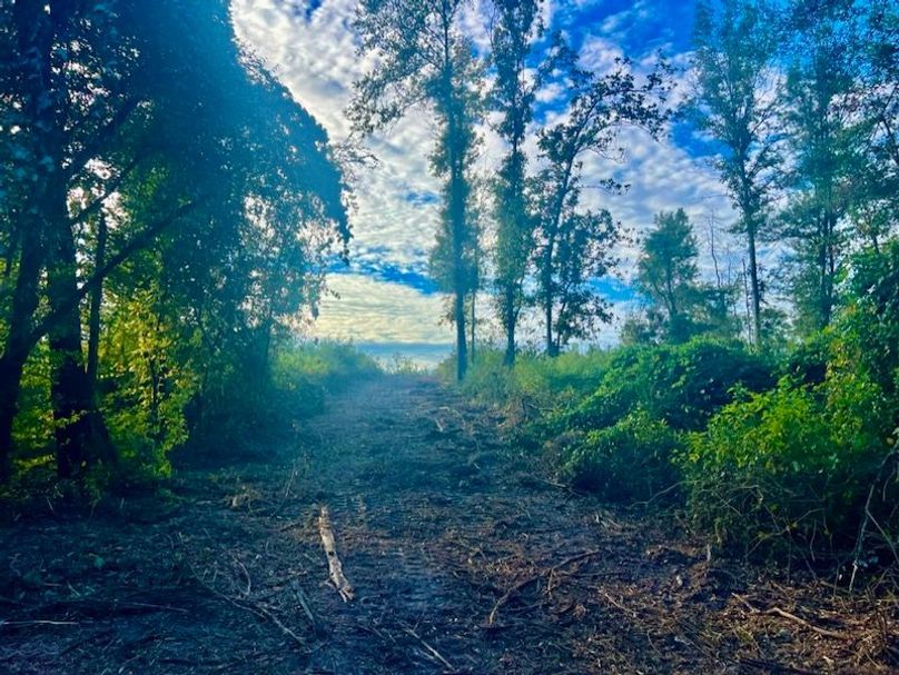 8958C688-DD14-40D6-A675-7C870D7BB1C3_1_105_c