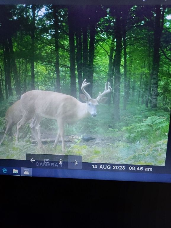 Resized_20231009_005403