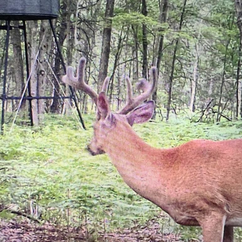 IMG_20230707_042053_797