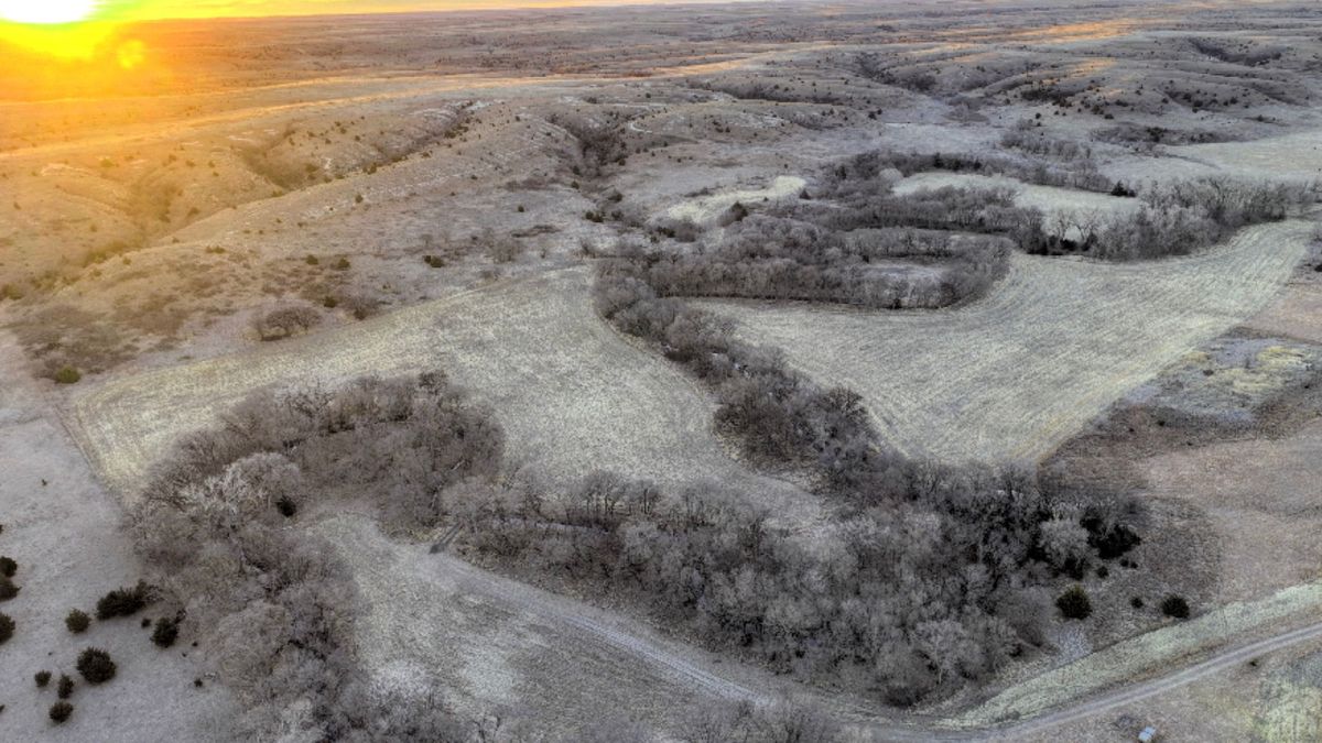 Lucky Creek Hunting Refuge Whitetail Properties