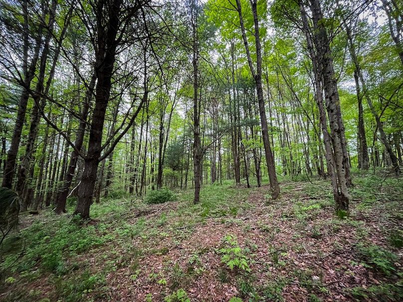 Tioga_78_Biada_Photos_26