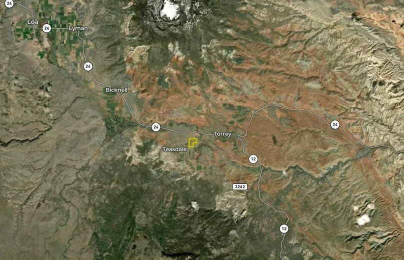 Area View