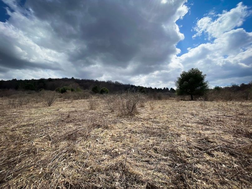 Tioga__NY_109.7_Burris_Photos_51