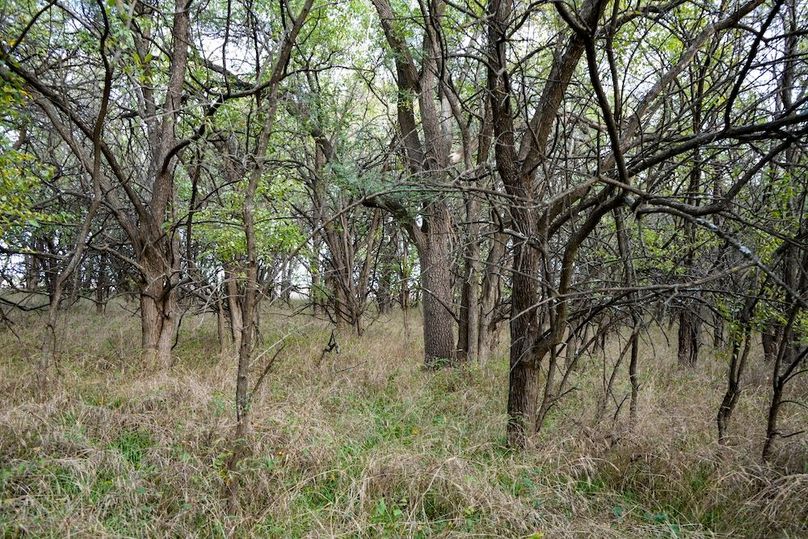 Dickinson Co, 154.5_058