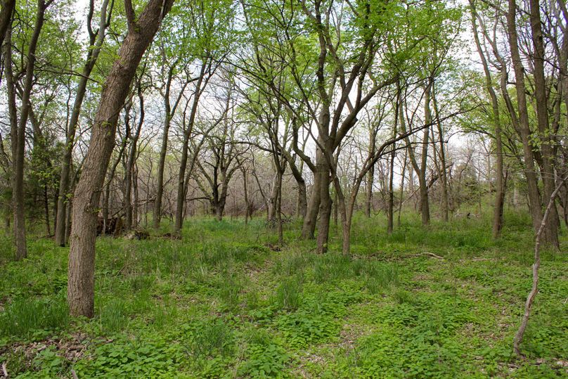 Republic, KS, 155.8_023