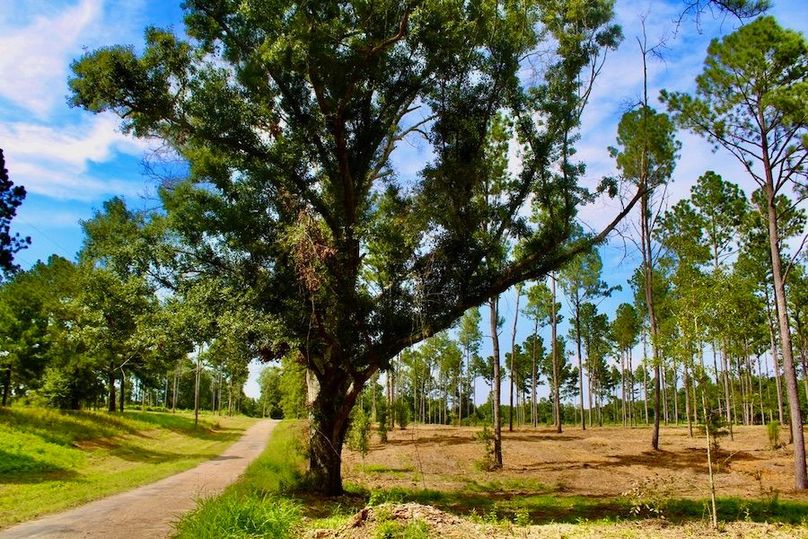 CE322A6E-7549-4270-9E93-BF42FB411D97_1_105_c