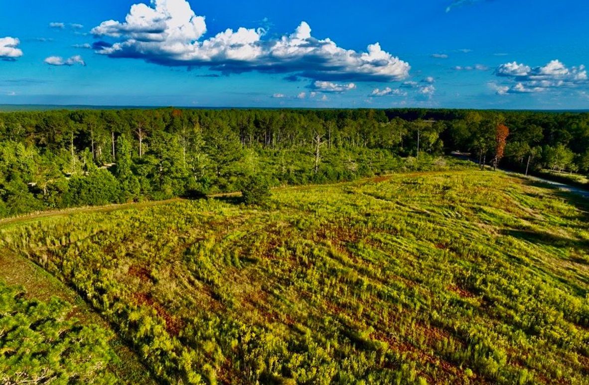 5B854411-84C8-48DA-A0E9-5FEDF415D6DB_1_105_c-2