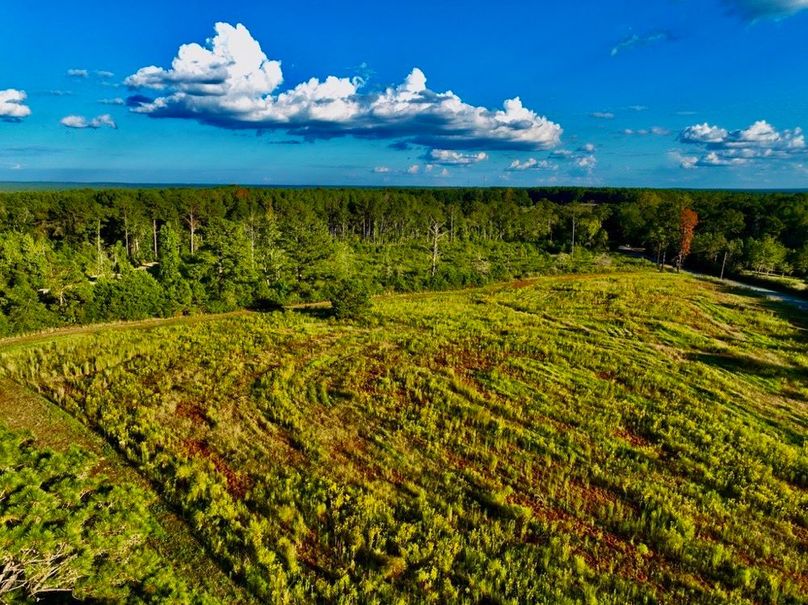 5B854411-84C8-48DA-A0E9-5FEDF415D6DB_1_105_c-2