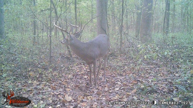 trail cam1