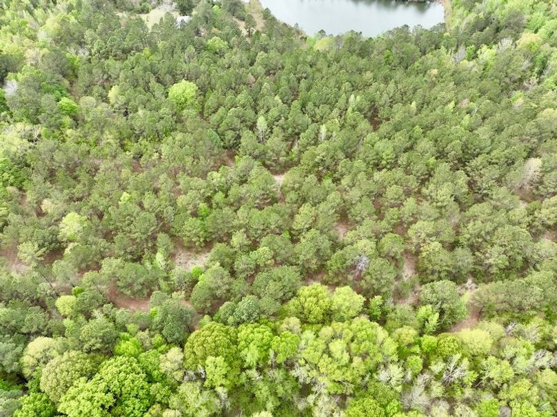 dji_fly_20260330_151818_445_1774898605555_photo