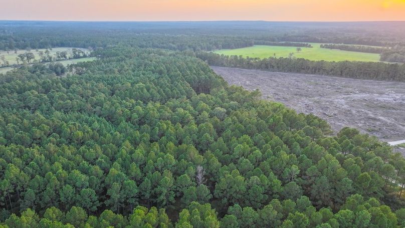 DJI_20250918183733_0241_D