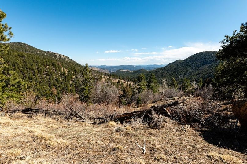 049 - Mule Deer Shed Southern View