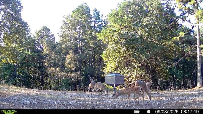 016578004181175-100-4-09082025081719-SYFW00066