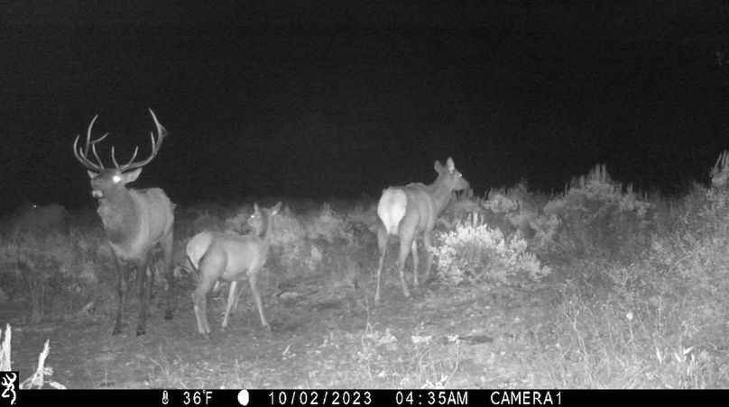 IMG_0015 - frame at 0m11s