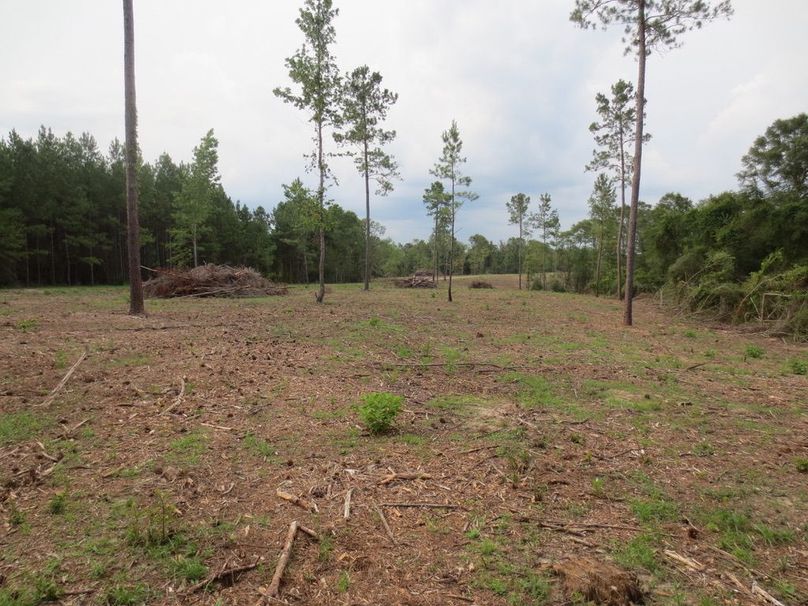 D080C18D-2909-4517-B8F7-39927D698BDE_1_105_c