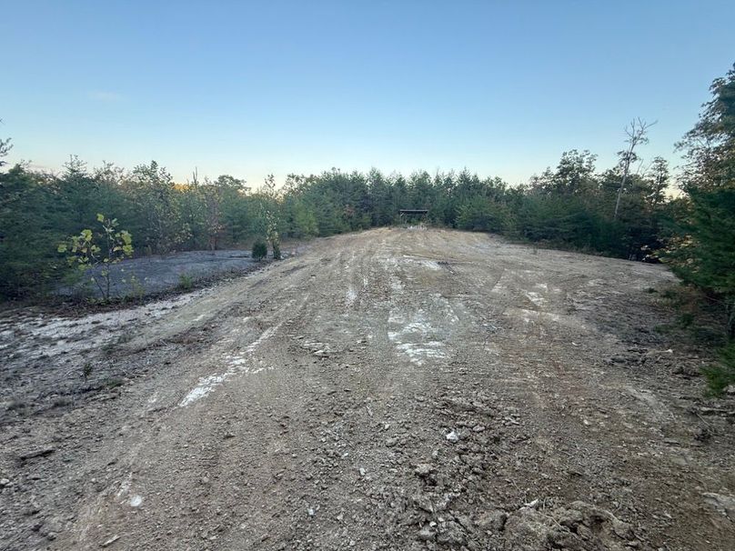 015 the building lot viewed from the west as you exit the woodline