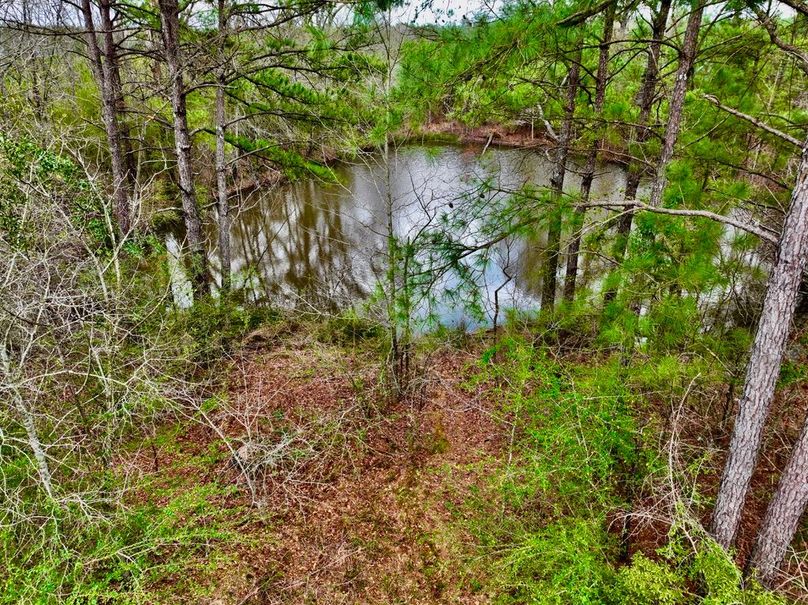 CE5D5825-AAE9-4009-B128-F80175C475EC_1_105_c