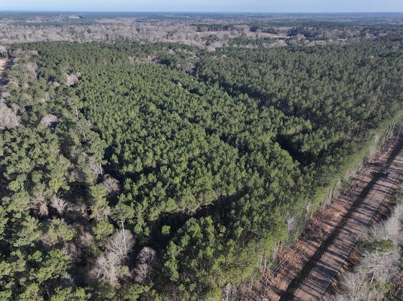 dji_fly_20260216_152232_0087_1771284232726_photo