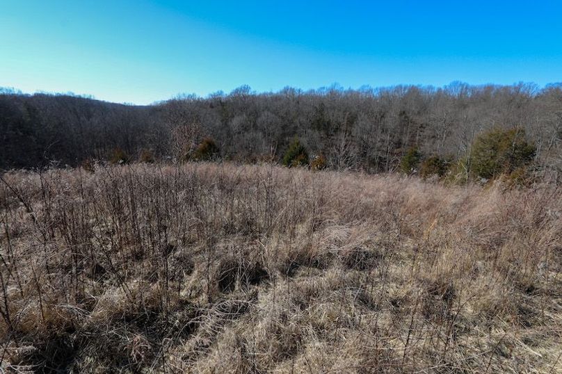 002 old field growth along a small secondary point looking down into the valley to the south